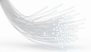 Various types of optical fibers